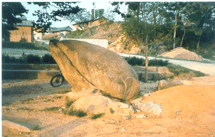 ankim02-6-50d.jpg