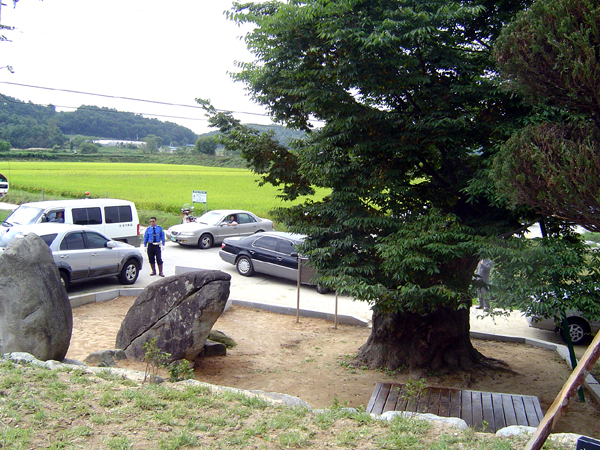 ankim02-6-50e.jpg