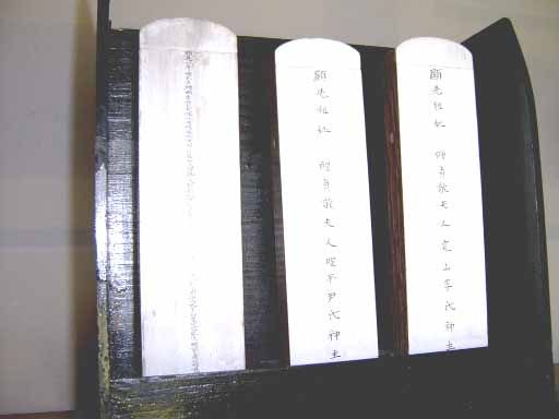 ankim02-6-51d.jpg