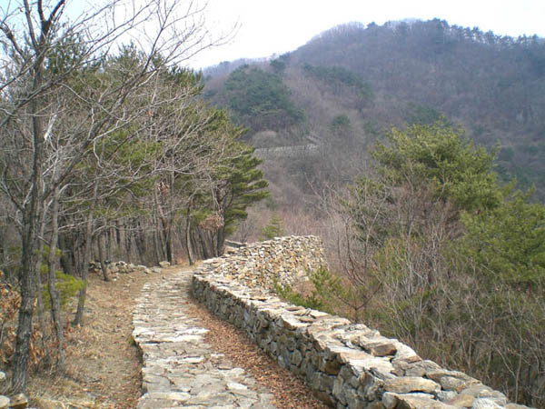 ankim02-6-51p.jpg