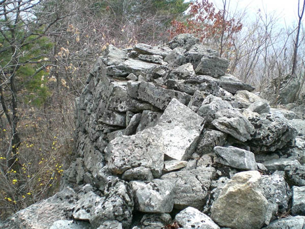 ankim02-6-51q.jpg