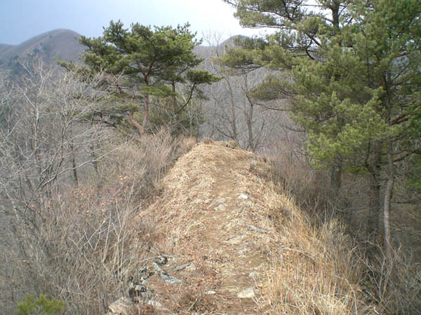 ankim02-6-51r.jpg