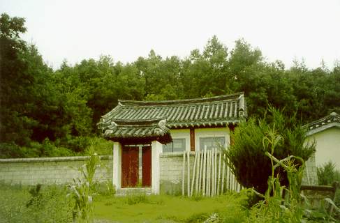 ankim02-6-51t.jpg