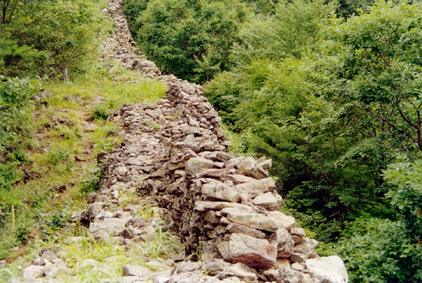 ankim02-6-51z16.jpg