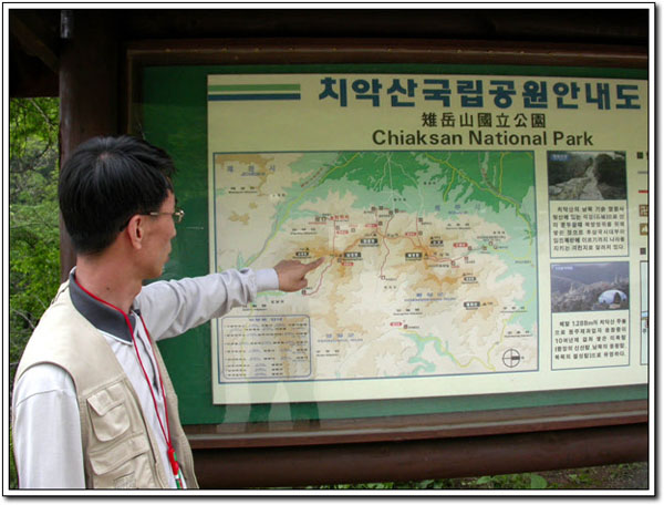 ankim02-6-51z175.jpg
