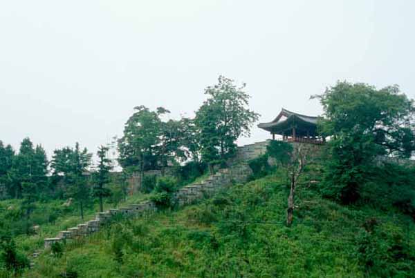 ankim02-6-56x.jpg