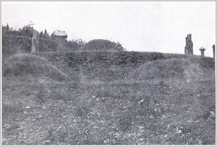 ankim02-6-59y.jpg