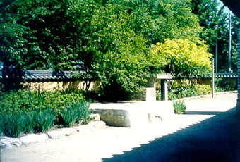ankim02-6-59z21.jpg