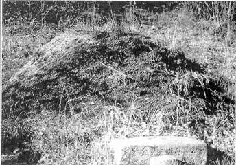 ankim02-6-62a.jpg