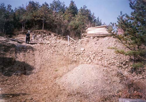 ankim02-6-62m.jpg