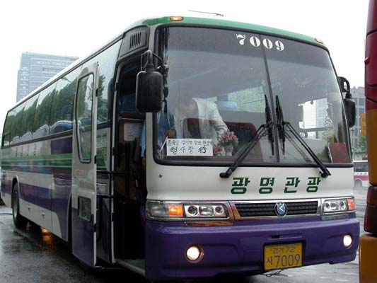 ankim02-6-62z36.jpg