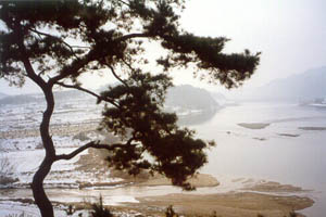 ankim02-6-64f.jpg