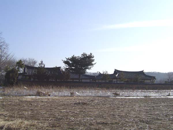 ankim02-6-64w.jpg