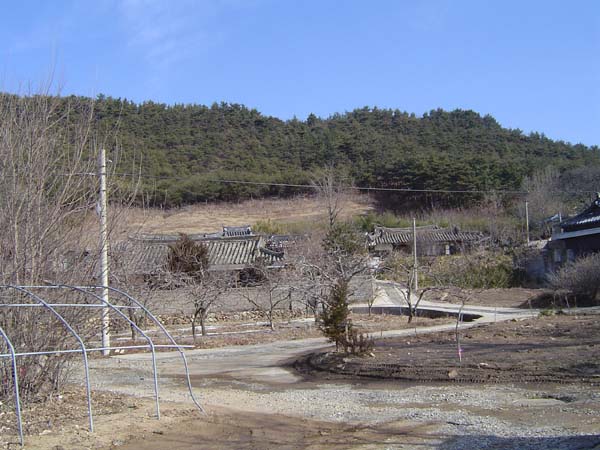 ankim02-6-64z13.jpg