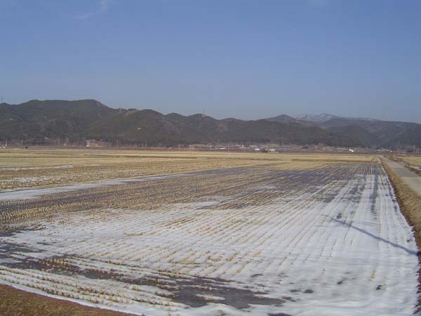 ankim02-6-64z2.jpg