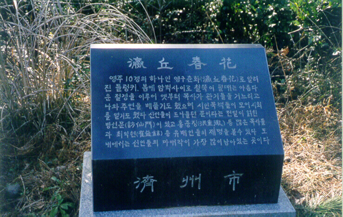 ankim02-6-66y.jpg