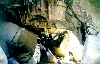 ankim02-6-66z.jpg