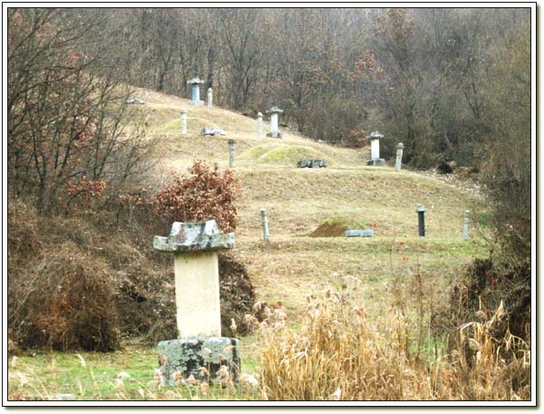 ankim02-6-68c.jpg