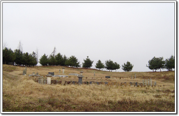 ankim02-6-69g.jpg