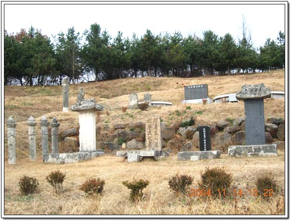 ankim02-6-69z2.jpg