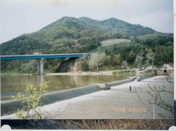 ankim02-6-75g.jpg