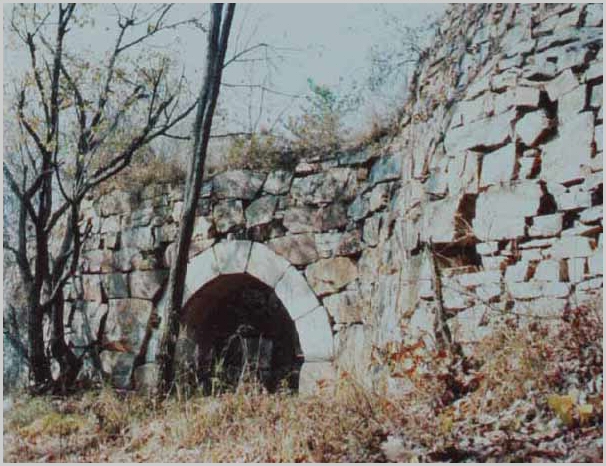 ankim02-6-75p.jpg