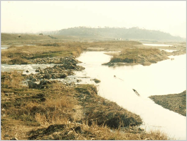ankim02-6-75q.jpg