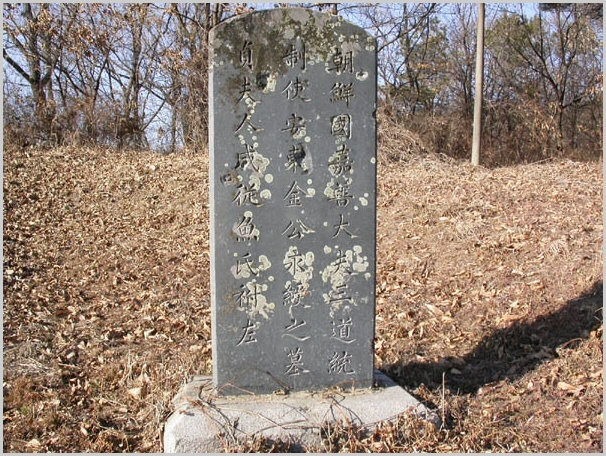 ankim02-6-80a.jpg