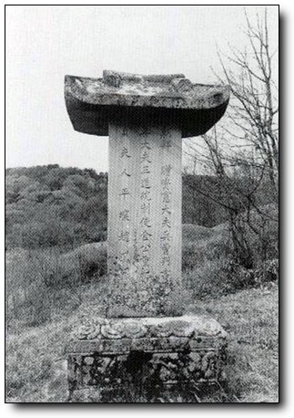 ankim02-6-82a.jpg