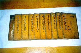 ankim02-6-85d.jpg