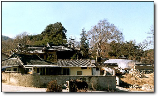 ankim02-6-86c.jpg