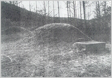 ankim02-6-86f.jpg