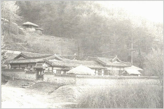 ankim02-6-86x.jpg