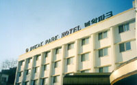 ankim02-6-89z21.jpg