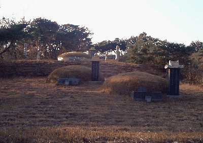 ankim04-10c.gif