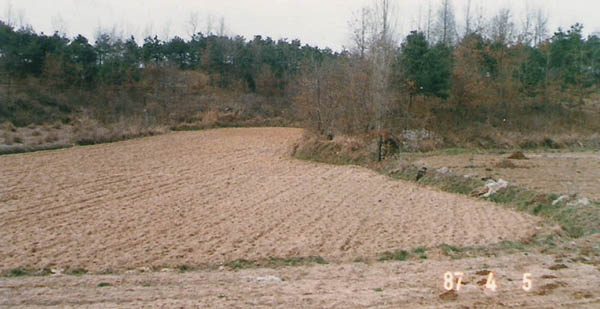 ankim04-11z1022.jpg