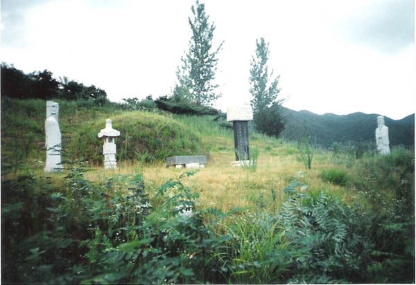 ankim04-11z111.jpg