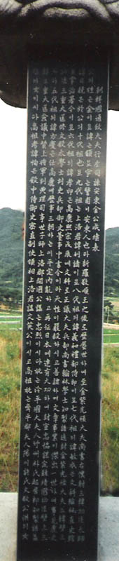 ankim04-11z115.jpg