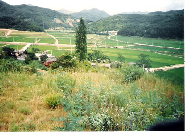 ankim04-11z116.jpg