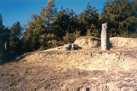ankim04-11z119.jpg
