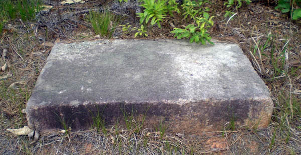 ankim04-11z133.jpg