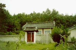 ankim04-11z255.jpg
