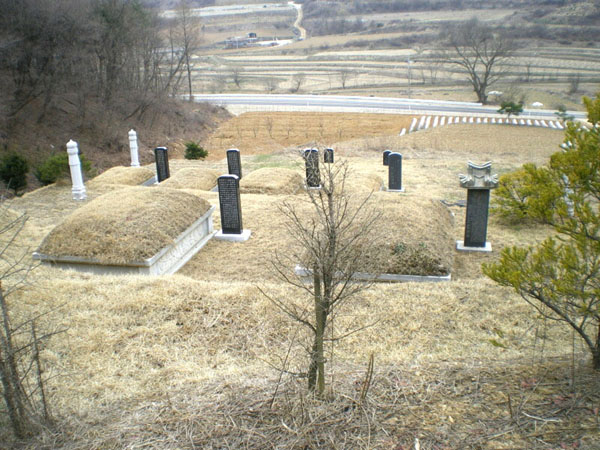 ankim04-11z370.jpg