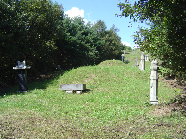 ankim04-11z374.jpg