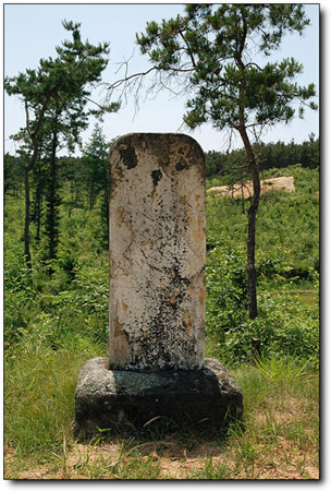 ankim04-13z13.jpg