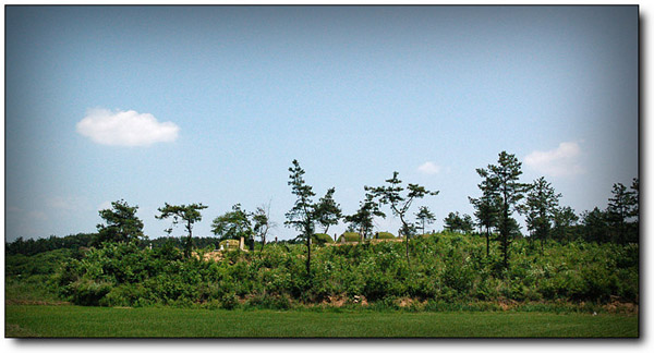 ankim04-13z21.jpg