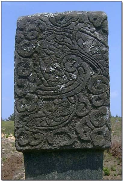ankim04-13z65.jpg