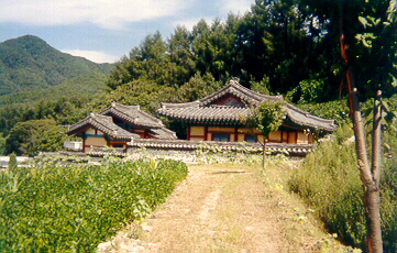ankim04-14g.jpg