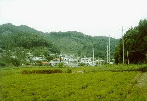 ankim04-18c.jpg