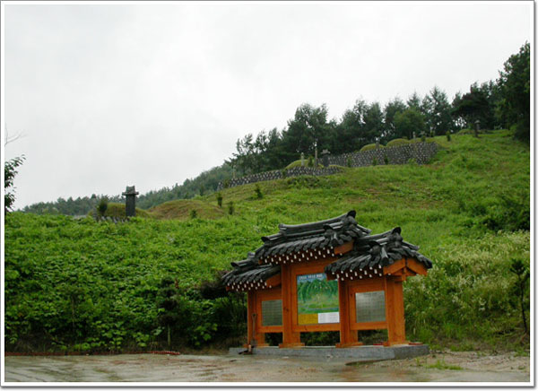 ankim04-18h.jpg
